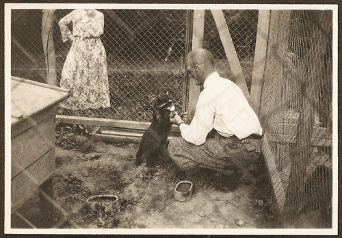 Rolf Haag in seiner Waschbärfarm