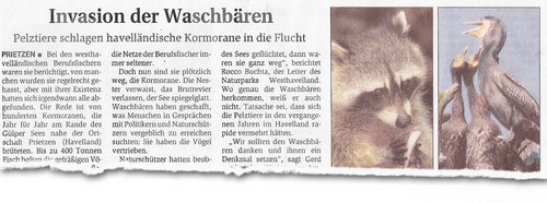 Zeitungsartikel ueber Waschbaeren und Kormorane