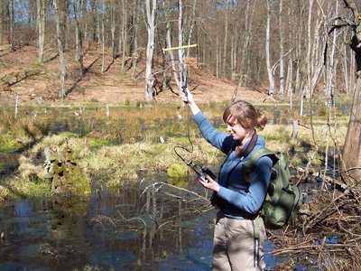 Projektmitarbeiterin Nicole Hermes bei der telemetrischen Suche von Waschbaeren im Mueritz-Nationalpark