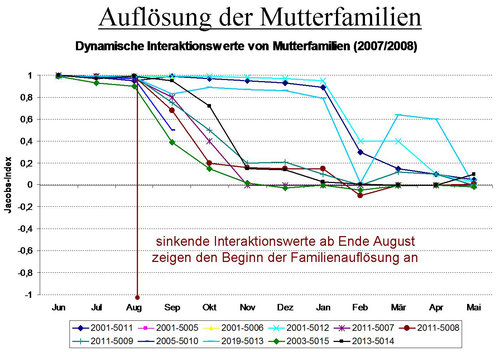 Grafik Aufloesung Mutterfamilien
