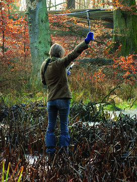 Waschbaer-Telemetrie im Mueritz-Nationalpark