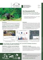 Poster Steffen Ortmann