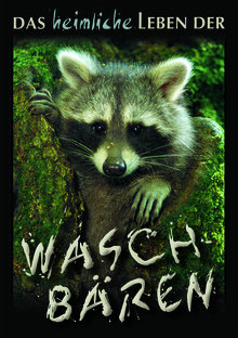 Waschbaeraustellung Ingo Bartussek