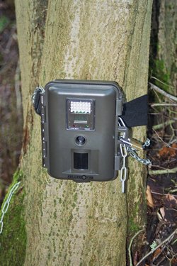 Infrarot-Fotofalle im Untersuchungsgebiet