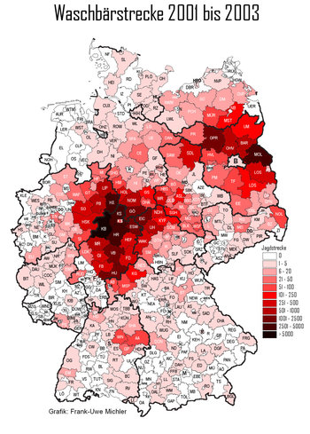 Populationsdichten von Waschbären