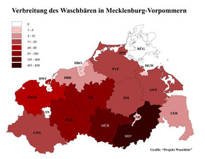 Verbreitung des Waschbären in Mecklenburg-Vorpommern