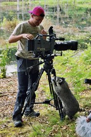 Dreharbeiten für Fernsehbeitrag über Waschbären im Müritz-Nationalpark