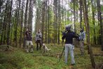 Funkortung - Aufnahme von Telemetriearbeiten im Mueritz-Nationalpark