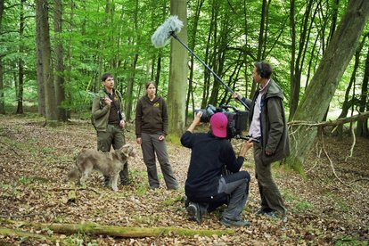 Filmaufnahmen über Waschbären im Müritz-Nationalpark