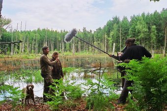 Dreharbeiten über Waschbären im Müritz-Nationalpark